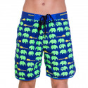 Costumi da bagno da uomo 69SLAM Short Boardshort Medium Elephant Green