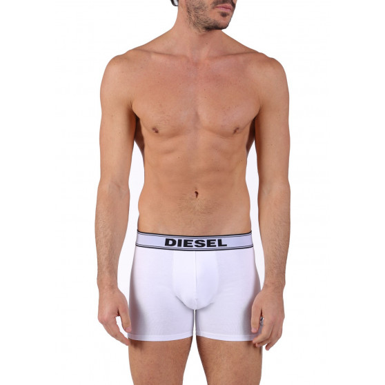 Boxer da uomo Diesel bianco (00CEM4-0TANL-100)