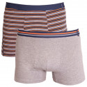 2PACK Boxer da uomo  grigio con strisce Molvy