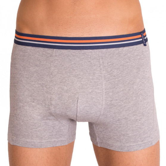 2PACK Boxer da uomo  grigio con strisce Molvy