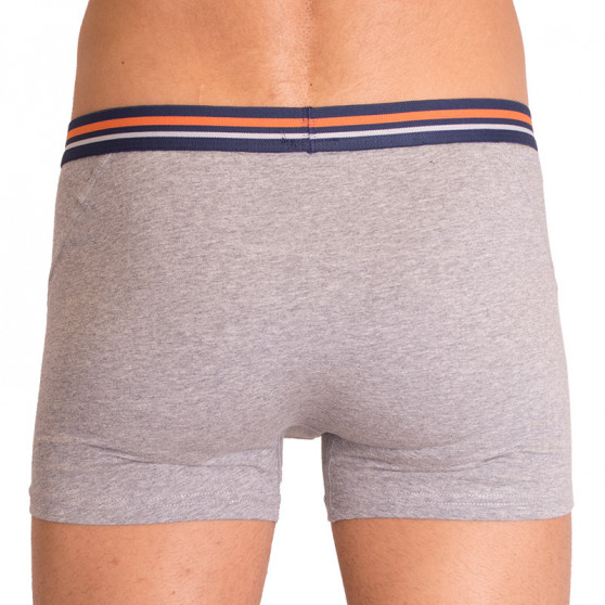 2PACK Boxer da uomo  grigio con strisce Molvy