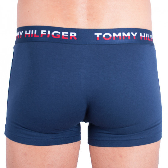 2PACK boxer uomo Tommy Hilfiger multicolore (UM0UM00746 222)