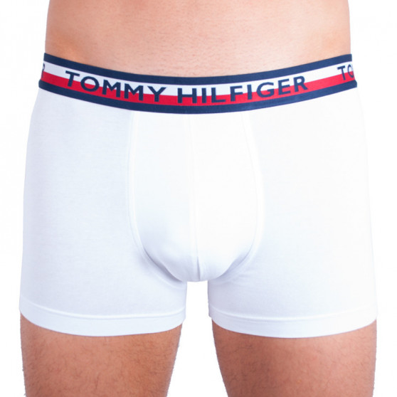 2PACK boxer uomo Tommy Hilfiger multicolore (UM0UM00746 222)