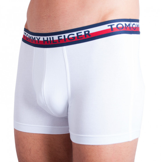 2PACK boxer uomo Tommy Hilfiger multicolore (UM0UM00746 222)