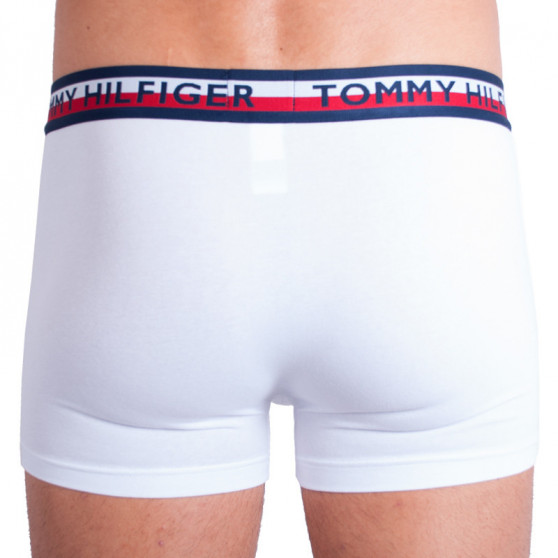 2PACK boxer uomo Tommy Hilfiger multicolore (UM0UM00746 222)