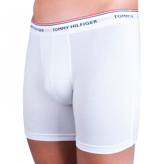 3PACK boxer uomo Tommy Hilfiger multicolore (UM0UM00010 004)