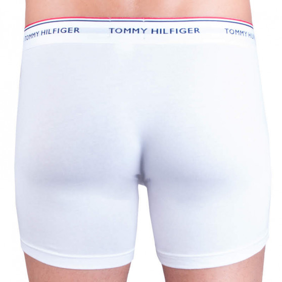 3PACK boxer uomo Tommy Hilfiger multicolore (UM0UM00010 004)