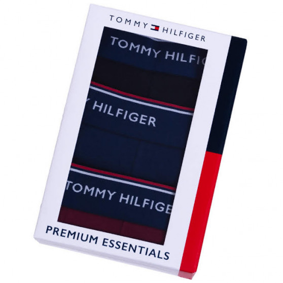 3PACK slip uomo Tommy Hilfiger multicolore (1U87903766 096)