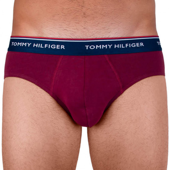 3PACK slip uomo Tommy Hilfiger multicolore (1U87903766 096)