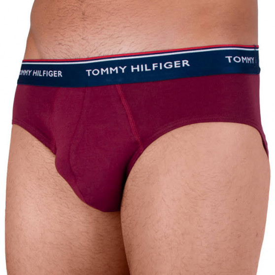 3PACK slip uomo Tommy Hilfiger multicolore (1U87903766 096)