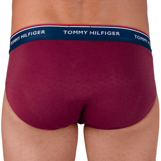 3PACK slip uomo Tommy Hilfiger multicolore (1U87903766 096)