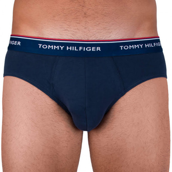 3PACK slip uomo Tommy Hilfiger multicolore (1U87903766 096)