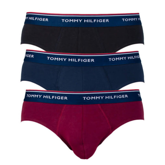 3PACK slip uomo Tommy Hilfiger multicolore (1U87903766 096)