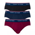 3PACK slip uomo Tommy Hilfiger multicolore (1U87903766 096)