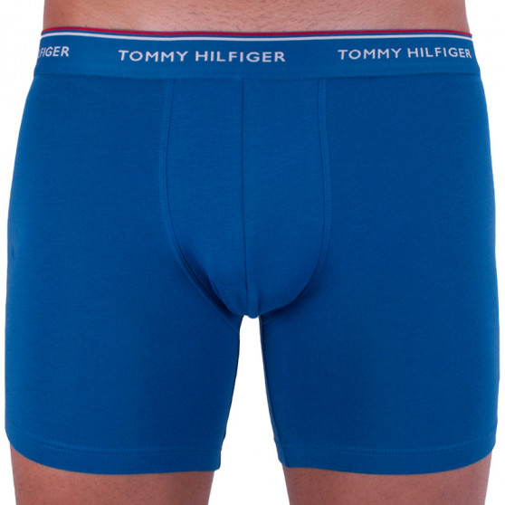 3PACK boxer uomo Tommy Hilfiger multicolore (UM0UM00010 071)