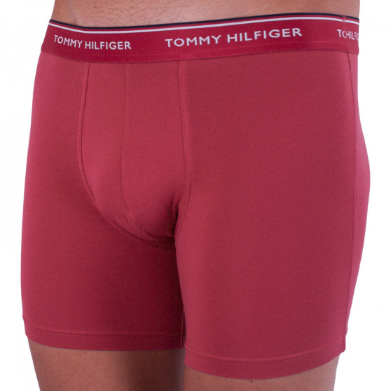 3PACK boxer uomo Tommy Hilfiger multicolore (UM0UM00010 071)