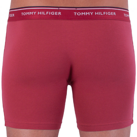 3PACK boxer uomo Tommy Hilfiger multicolore (UM0UM00010 071)