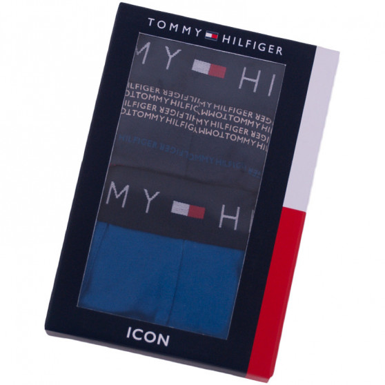 2PACK boxer uomo Tommy Hilfiger multicolore (UM0UM00945 047)