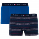 2PACK boxer uomo Tommy Hilfiger multicolore (UM0UM00945 047)