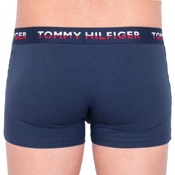 2PACK boxer uomo Tommy Hilfiger multicolore (UM0UM00746 006)