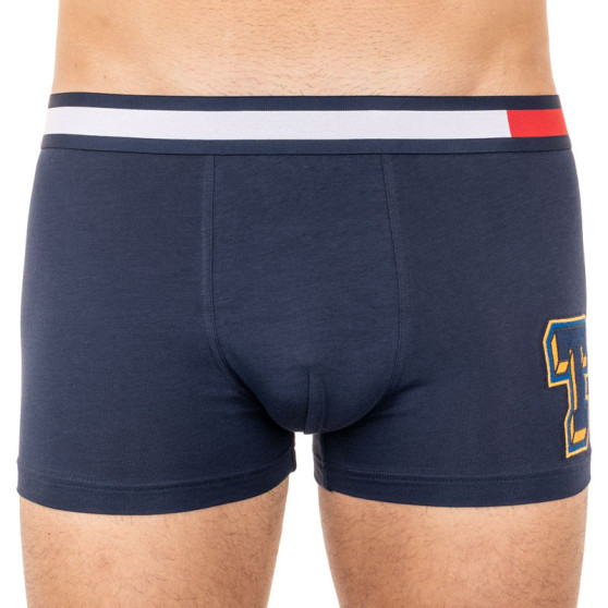 Boxer da uomo Tommy Hilfiger multicolore (UM0UM01549 416)