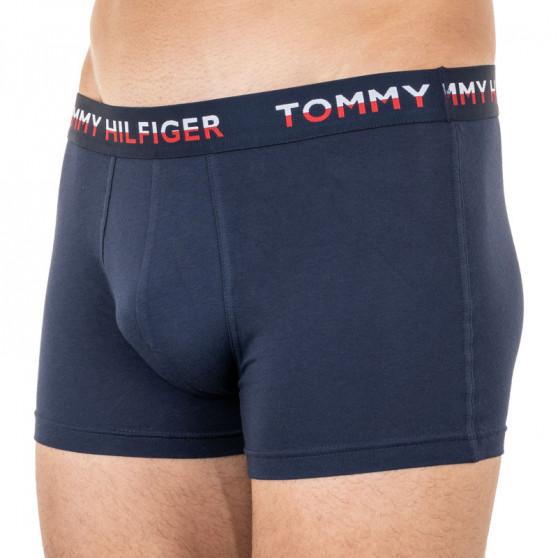 2PACK boxer uomo Tommy Hilfiger multicolore (UM0UM01233 088)