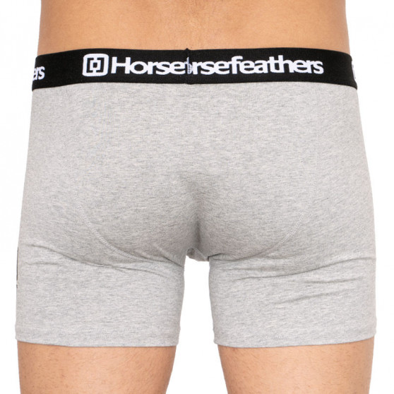 3PACK boxer uomo Horsefeathers multicolore (AM067D)