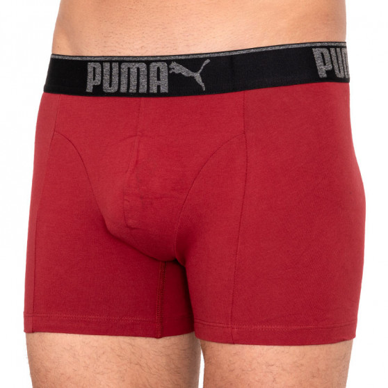 3PACK boxer uomo Puma multicolore (681030001 899)