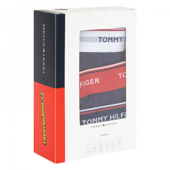 3PACK slip uomo Tommy Hilfiger blu scuro (1U87903766 904)