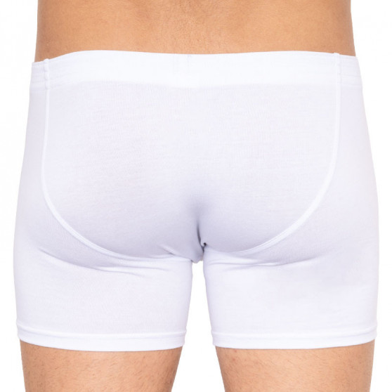 Boxer uomo Styx lungo classico elastico bianco (F1061)