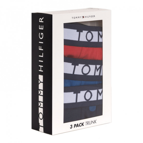 3PACK boxer uomo Tommy Hilfiger multicolore (UM0UM01565 018)