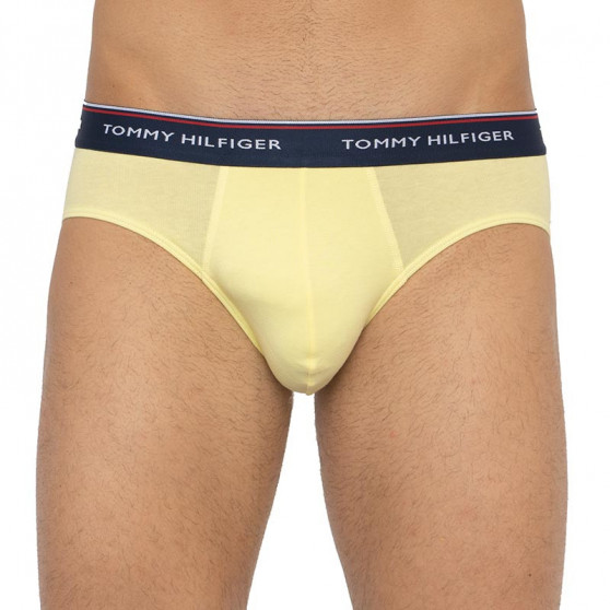 3PACK slip uomo Tommy Hilfiger multicolore (1U87903766 0RV)