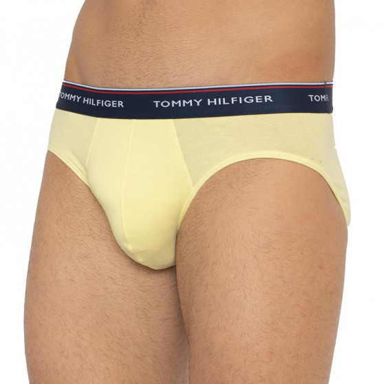 3PACK slip uomo Tommy Hilfiger multicolore (1U87903766 0RV)