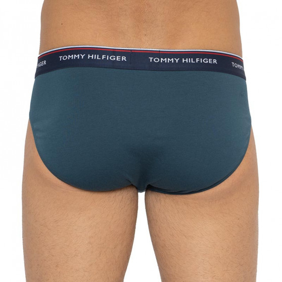 3PACK slip uomo Tommy Hilfiger multicolore (1U87903766 0RV)