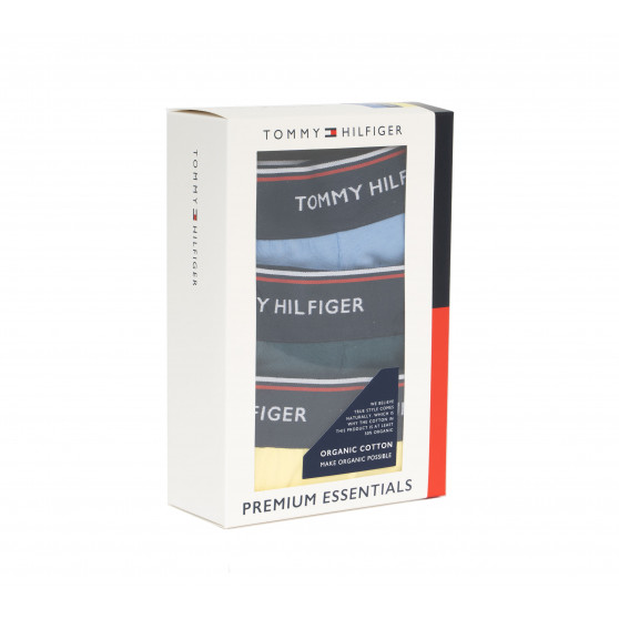 3PACK slip uomo Tommy Hilfiger multicolore (1U87903766 0RV)