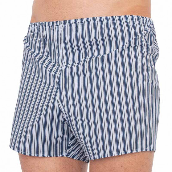 Boxer classici da uomo Foltýn a righe blu scuro