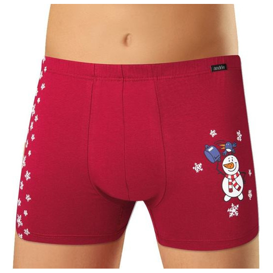 Boxer da uomo Andrie bordeaux (PS 5524 C)