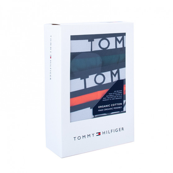 3PACK boxer uomo Tommy Hilfiger multicolore (UM0UM01565 0T2)