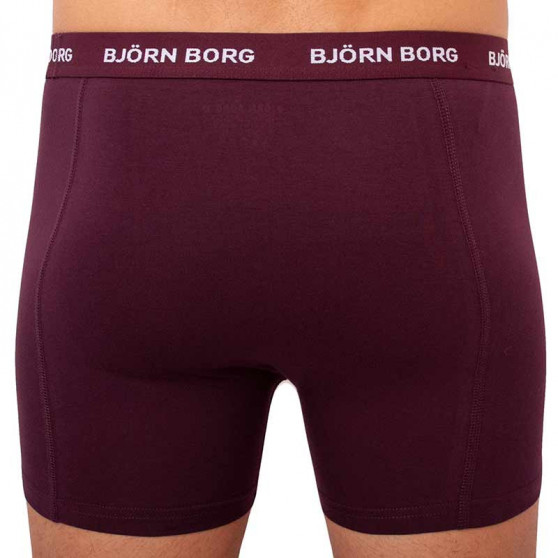 5PACK boxer uomo Bjorn Borg multicolore (2031-1041-81421)