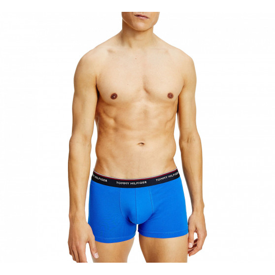 3PACK boxer uomo Tommy Hilfiger multicolore (1U87903842 0T1)