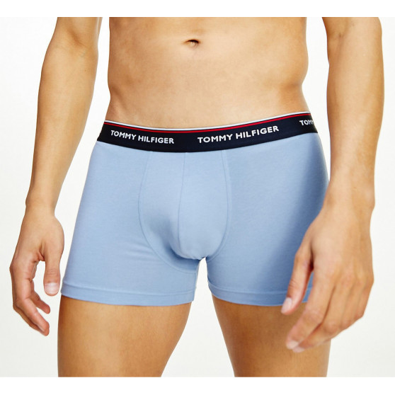 3PACK boxer uomo Tommy Hilfiger multicolore (1U87903842 0T1)