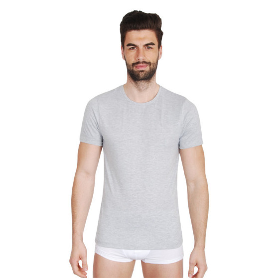 T-shirt da uomo Fila grigio (FU5002-400)