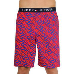 Pantaloncini da uomo Tommy Hilfiger multicolore (UM0UM01765 0NX)