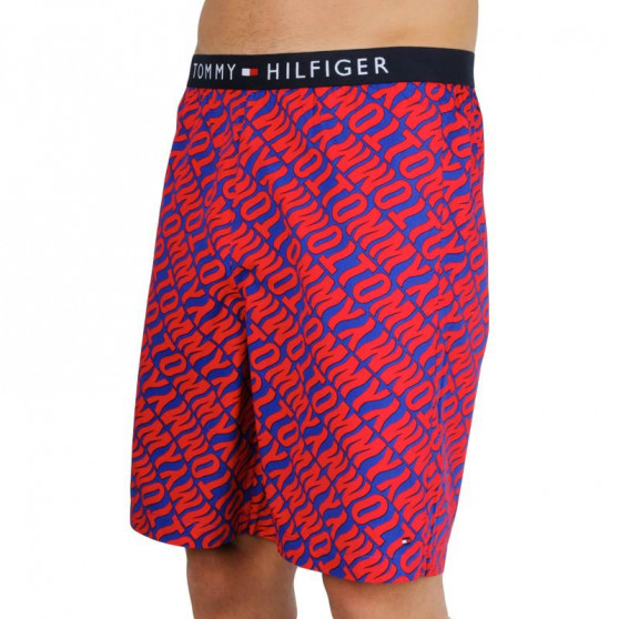 Pantaloncini da uomo Tommy Hilfiger multicolore (UM0UM01765 0NX)