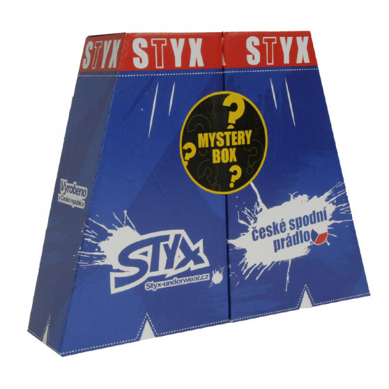 MYSTERY BOX - 5PACK Boxer da donna  classico elastico multicolore Styx