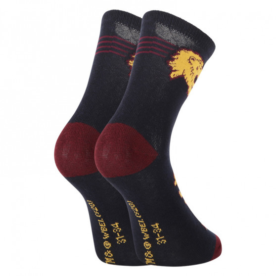 2PACK Calzini per bambini E plus M Harry Potter multicolore (GRYFFINDOR-A)