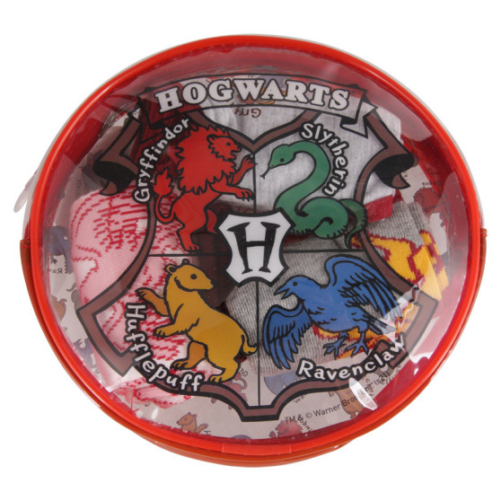 4PACK set di biancheria intima per ragazze Cerdá Harry Potter multicolore (2200007424)