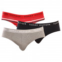 3PACK slip uomo Tommy Hilfiger multicolore (UM0UM02328 0AH)