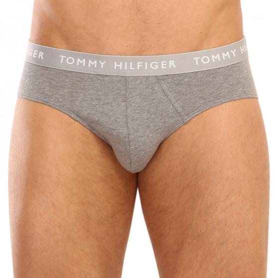 3PACK slip uomo Tommy Hilfiger multicolore (UM0UM02328 0AH)