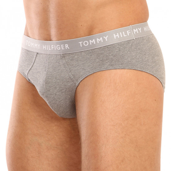 3PACK slip uomo Tommy Hilfiger multicolore (UM0UM02328 0AH)